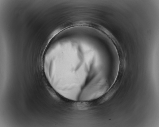 X0000083030858200703022025