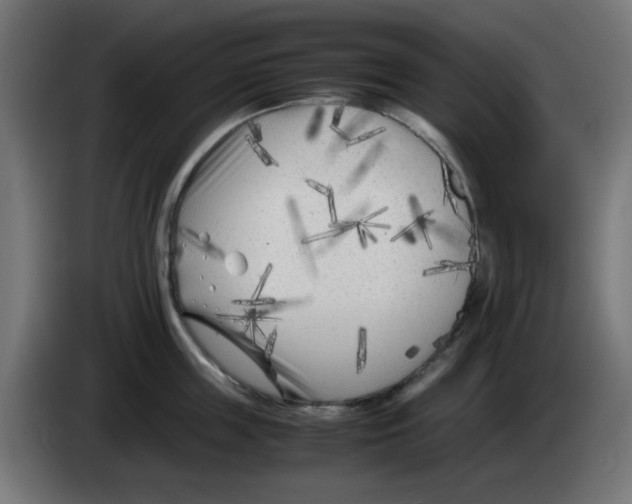 X0000083030859200703022025