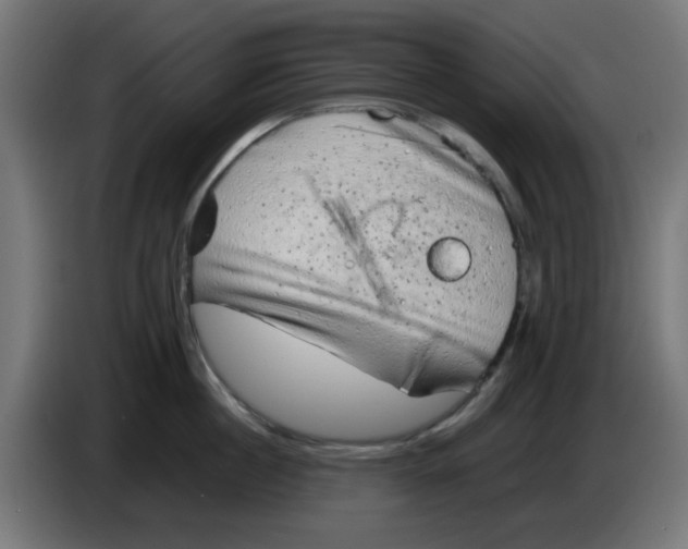 X0000083030860200703022025