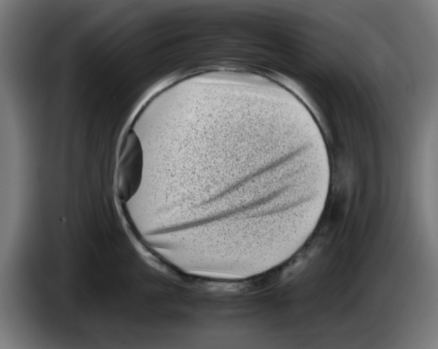 X0000083030861200703022025