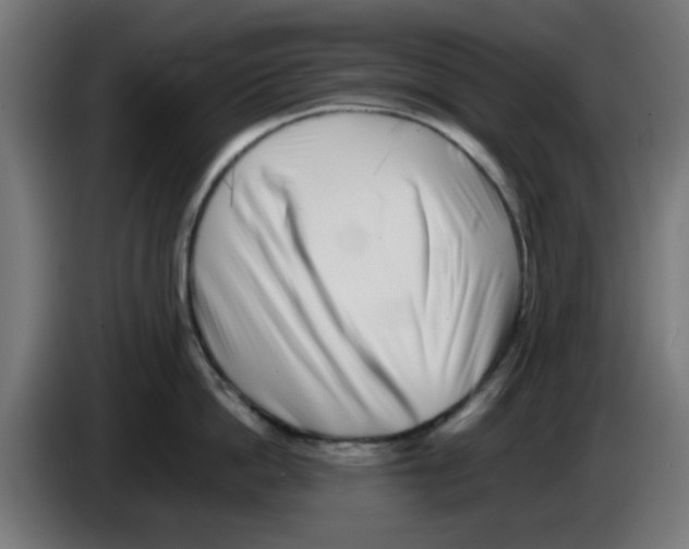 X0000083030862200703022025