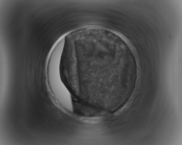 X0000083030864200703022025