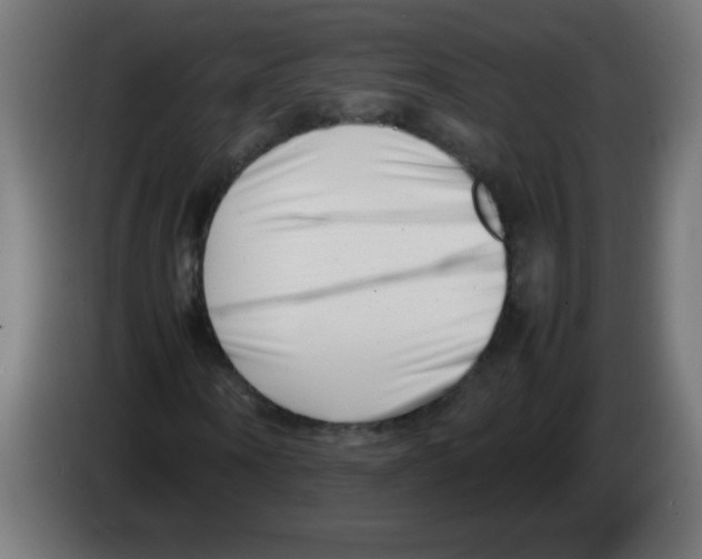 X0000083030866200703022024