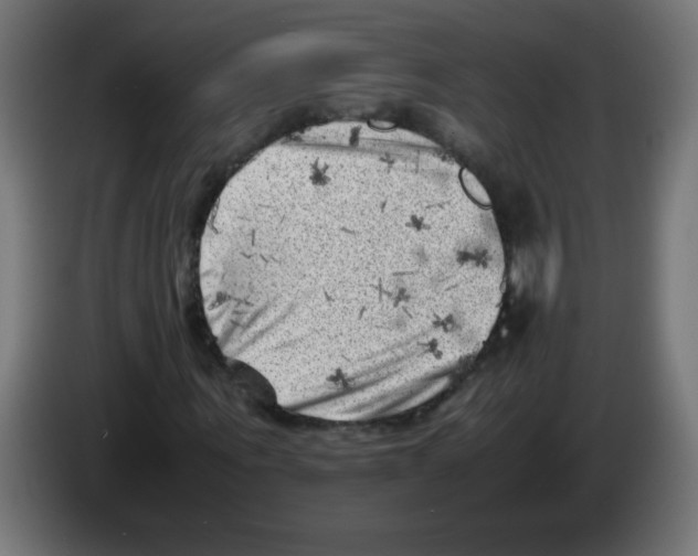 X0000083030867200703022024