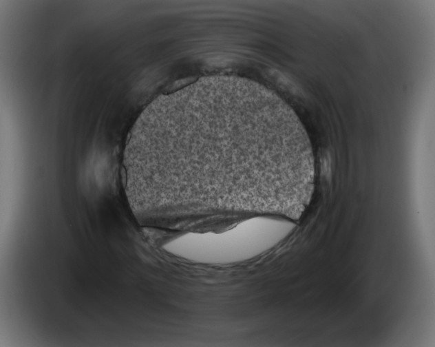 X0000083030868200703022024