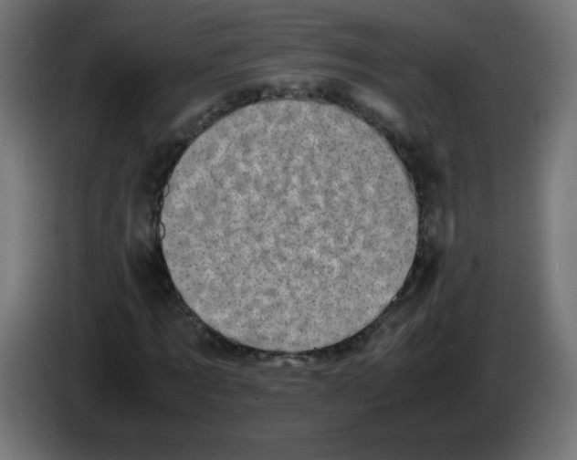 X0000083030869200703022024