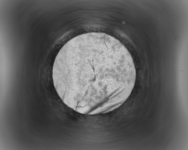 X0000083030870200703022024