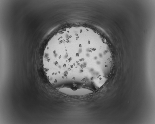 X0000083030871200703022024