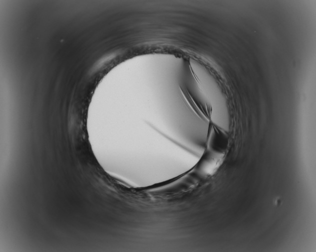 X0000083030872200703022024