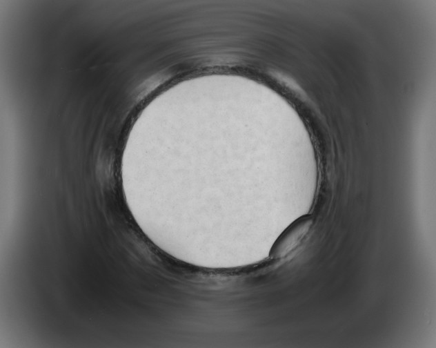 X0000083030873200703022024