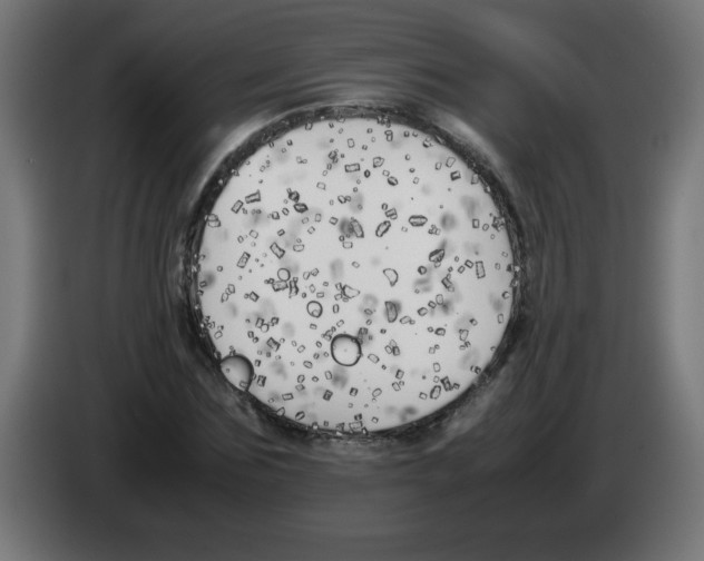 X0000083030875200703022024