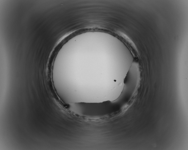 X0000083030876200703022024