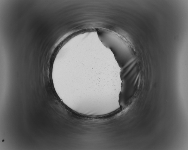 X0000083030877200703022024