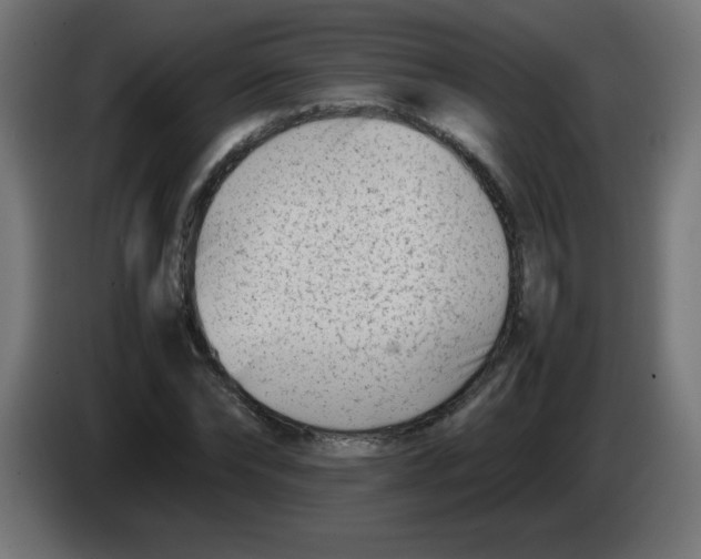 X0000083030878200703022024