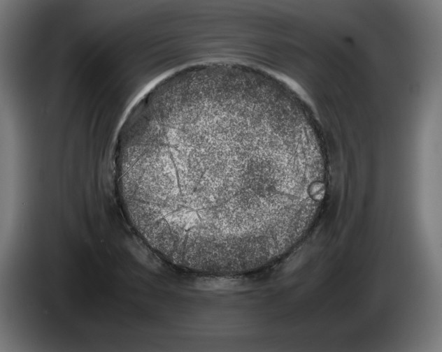 X0000083030879200703022024