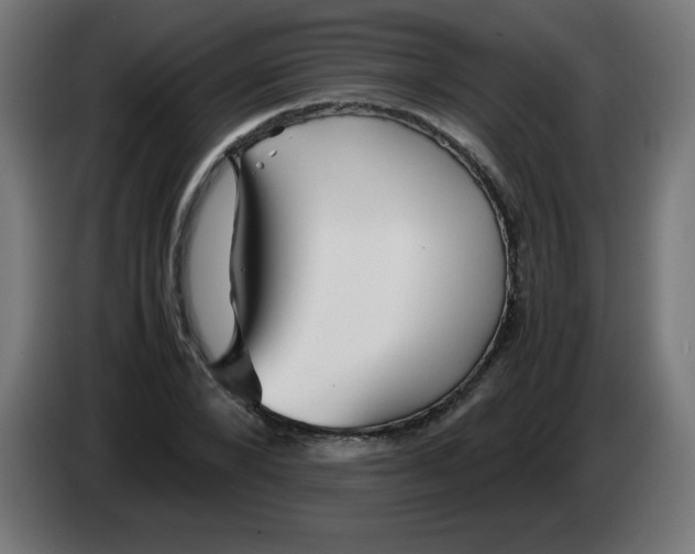 X0000083030880200703022024