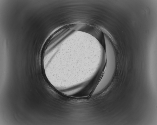 X0000083030884200703022024