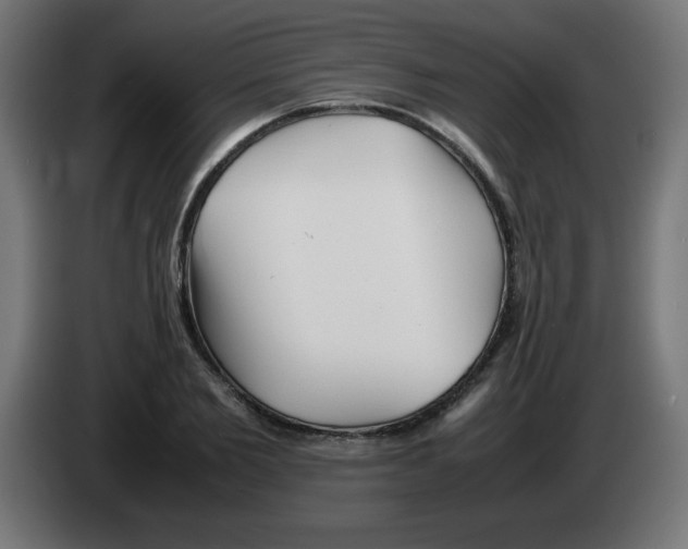 X0000083030885200703022024