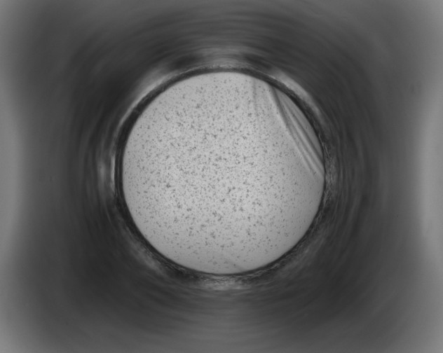 X0000083030886200703022024