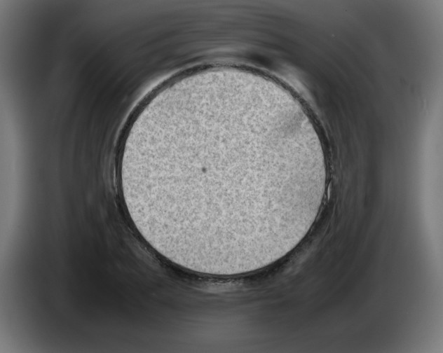 X0000083030887200703022024