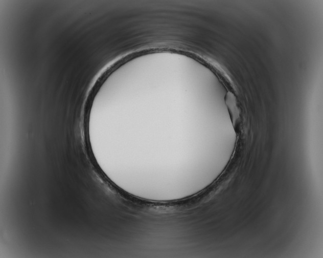 X0000083030888200703022024