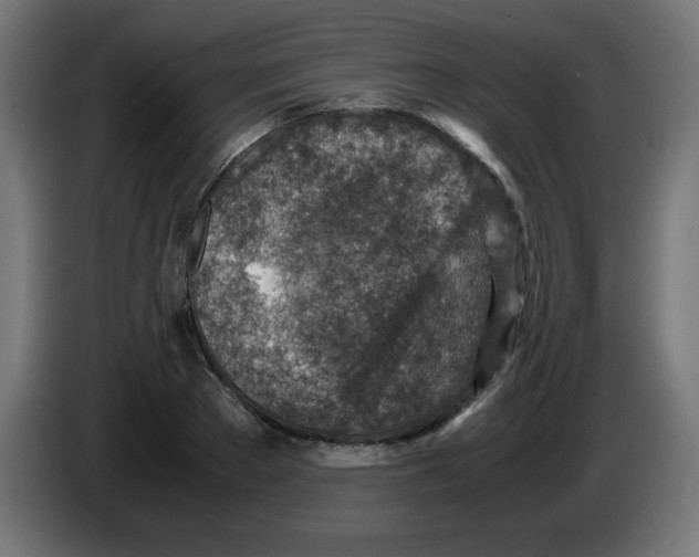 X0000083030889200703022024