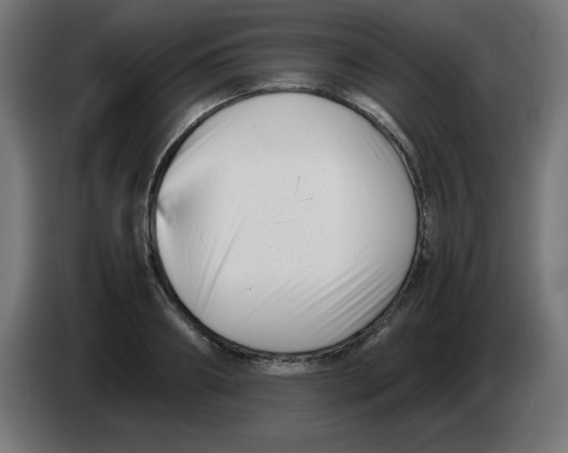 X0000083030890200703022024