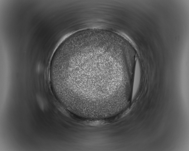 X0000083030891200703022024