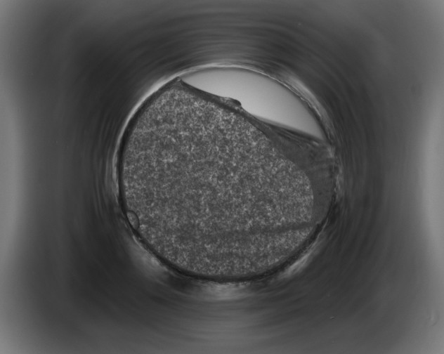 X0000083030892200703022024