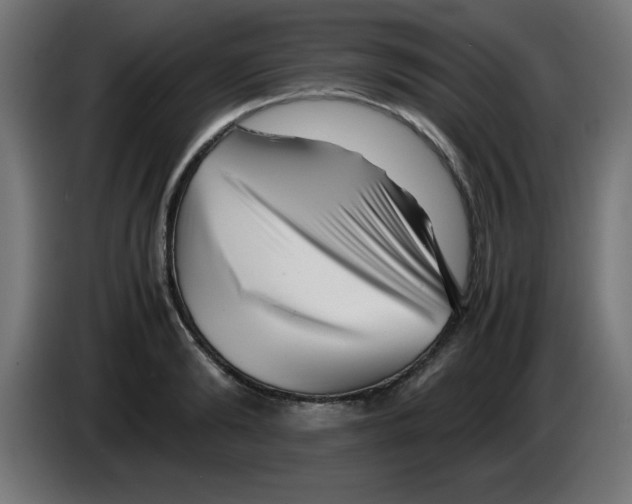 X0000083030894200703022024