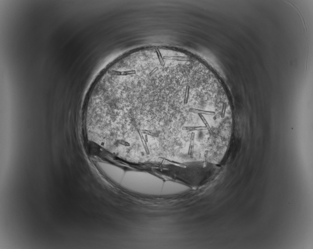 X0000083030895200703022024