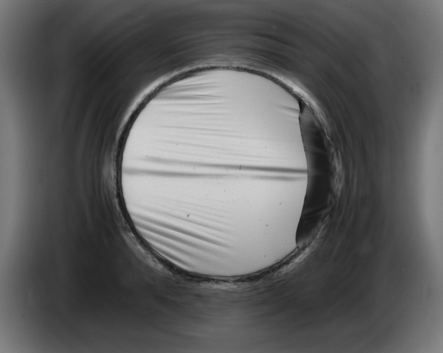 X0000083030896200703022024