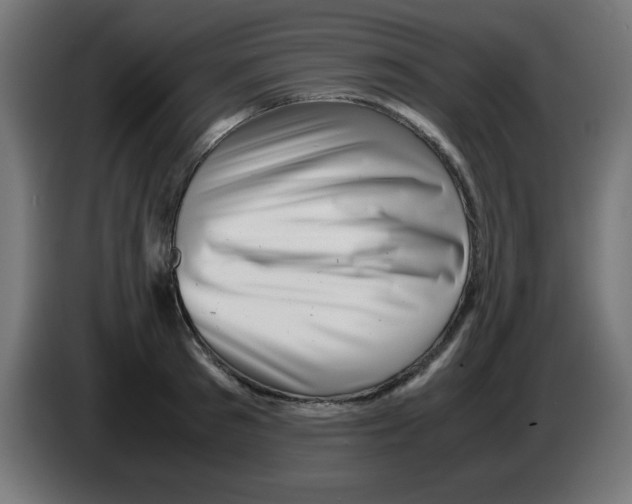 X0000083030897200703022023