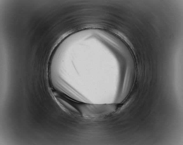 X0000083030898200703022023