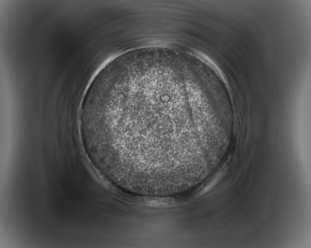 X0000083030899200703022023