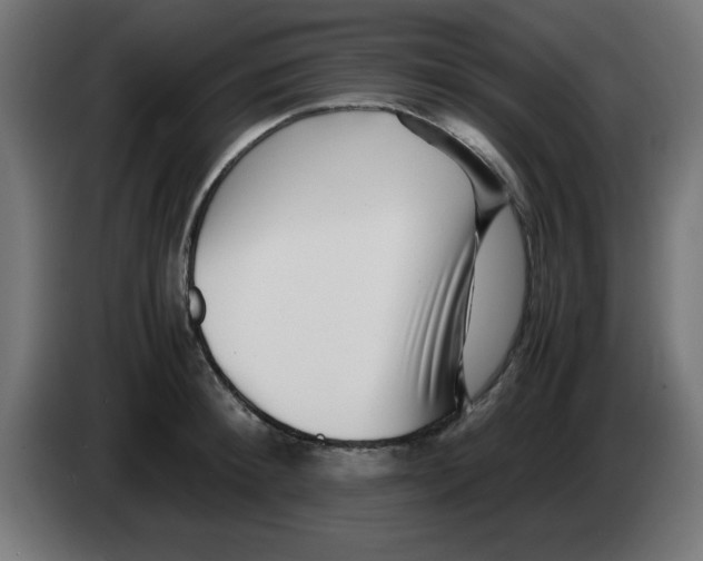 X0000083030900200703022023