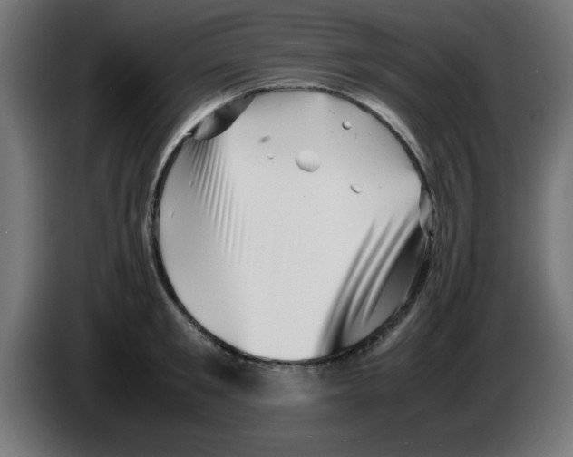 X0000083030901200703022023