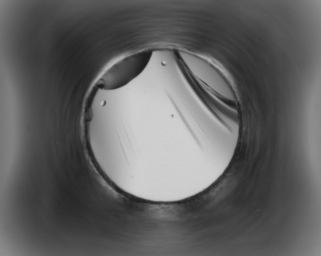 X0000083030902200703022023