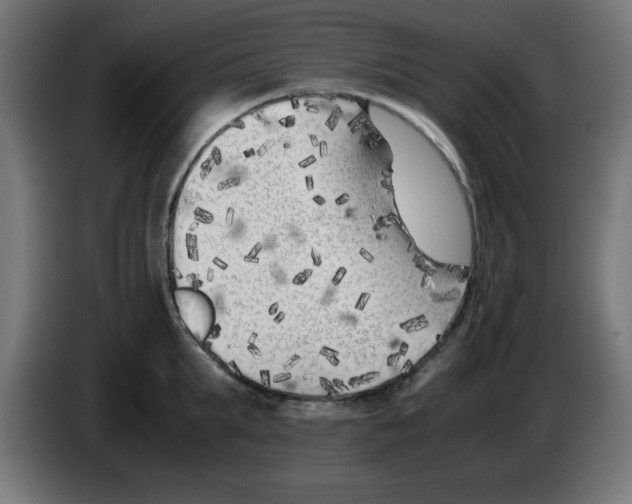 X0000083030903200703022023