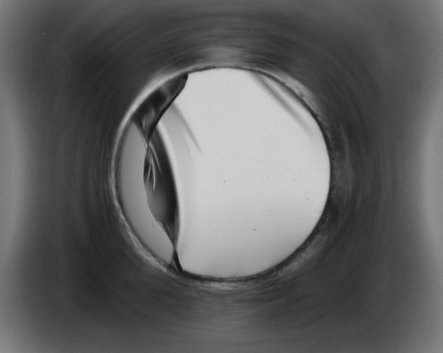 X0000083030904200703022023