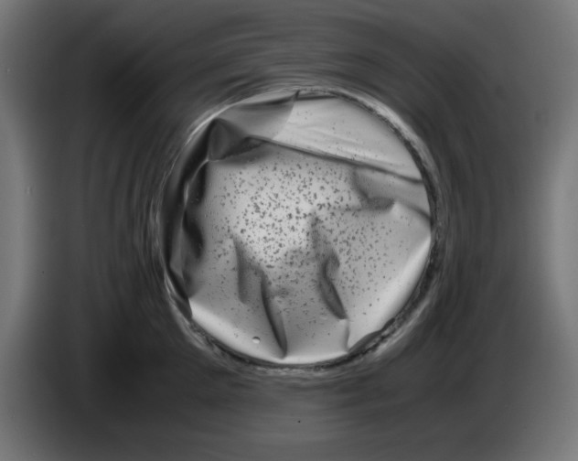 X0000083030905200703022023