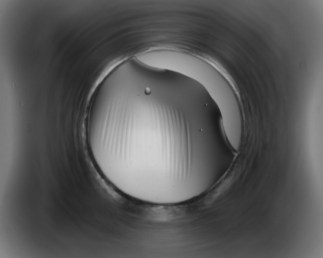 X0000083030906200703022023