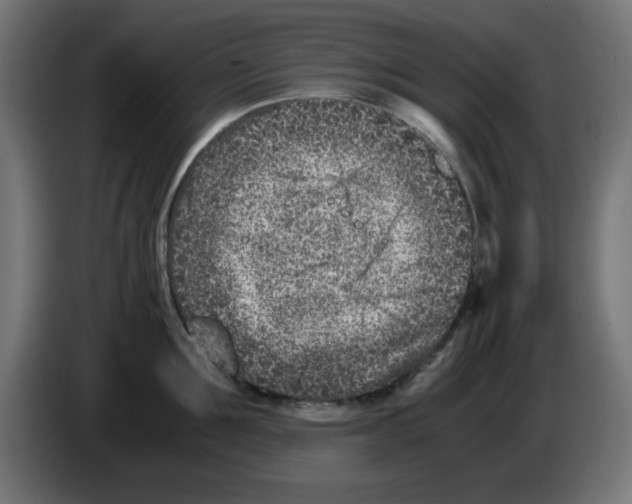 X0000083030907200703022023