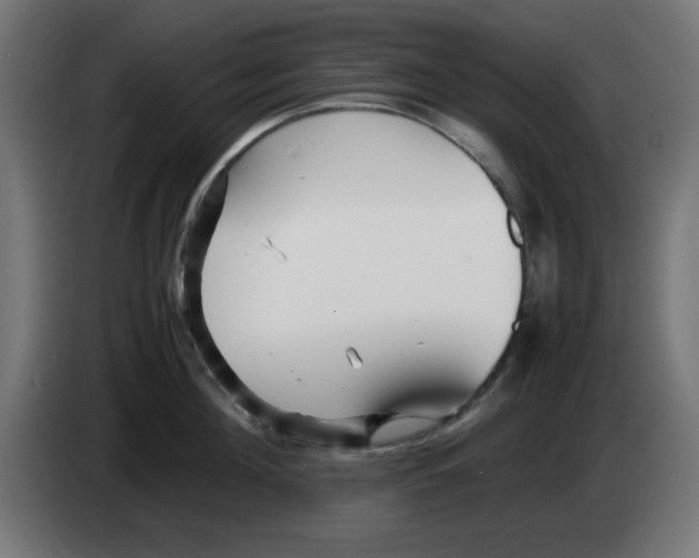 X0000083030908200703022023