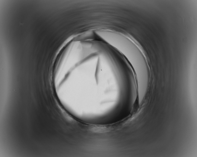 X0000083030909200703022023