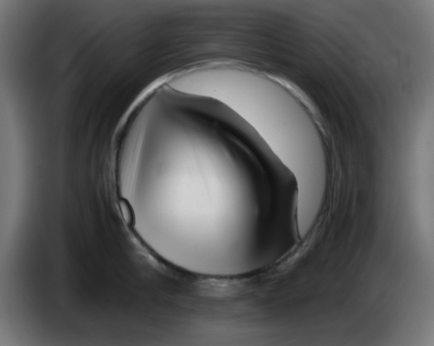 X0000083030910200703022023