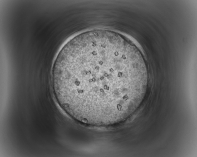 X0000083030911200703022023