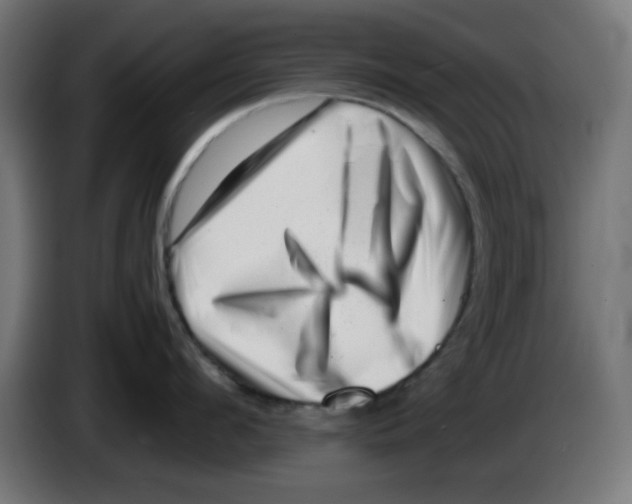 X0000083030912200703022023