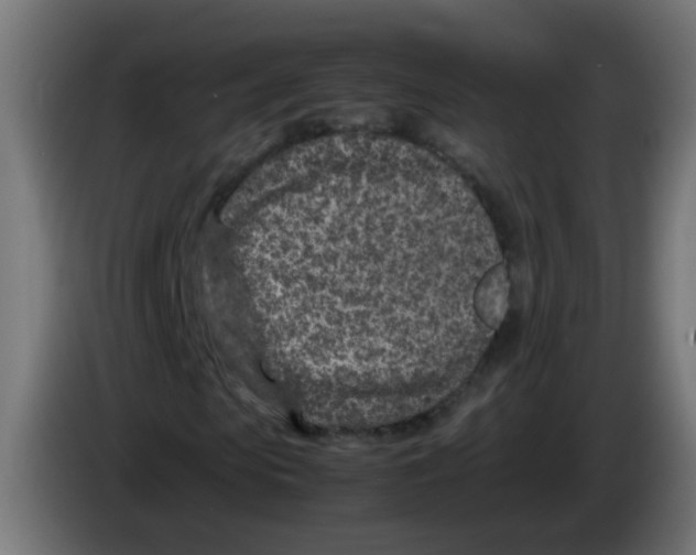 X0000083030913200703022023