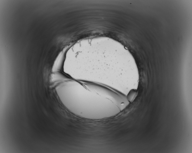 X0000083030916200703022023